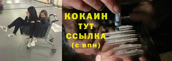 прущая мука Арсеньев