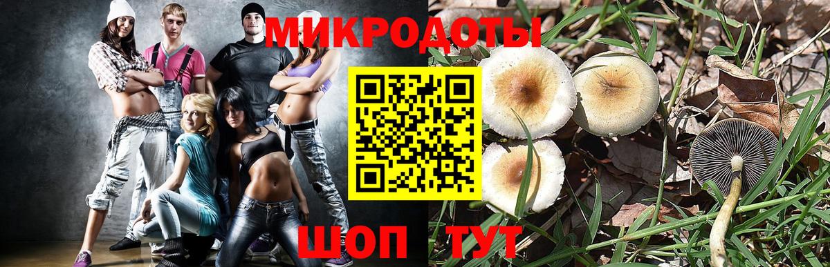Псилоцибиновые грибы Psilocybe  где продают наркотики  Уссурийск  Вход с VPN 